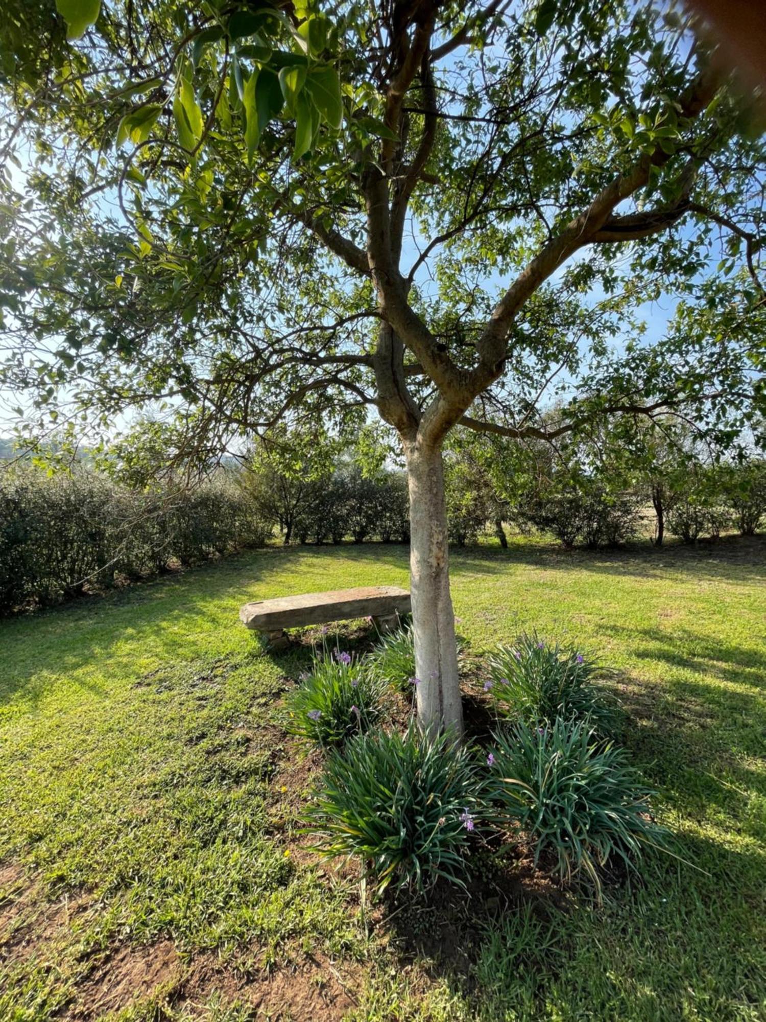 Tugela River Lodge Уинтъртън Екстериор снимка